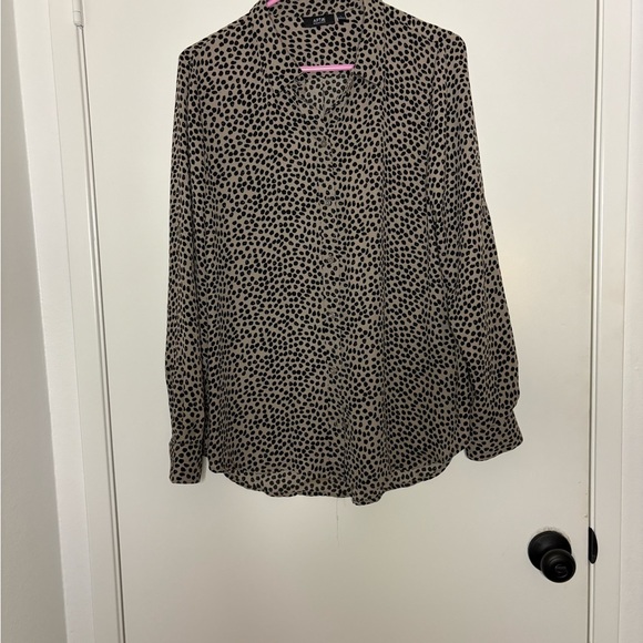 Apt. 9 Black and Tan Polka Dot Blouse - Picture 1 of 2